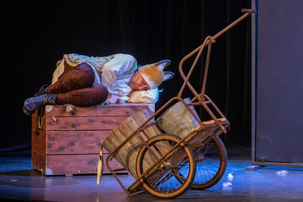 DESSOUS DE SCENE LE ROMAN DE RENART SPECTACLE JEUNE PUBLIC - FAMILIALE ET SCOLAIRE