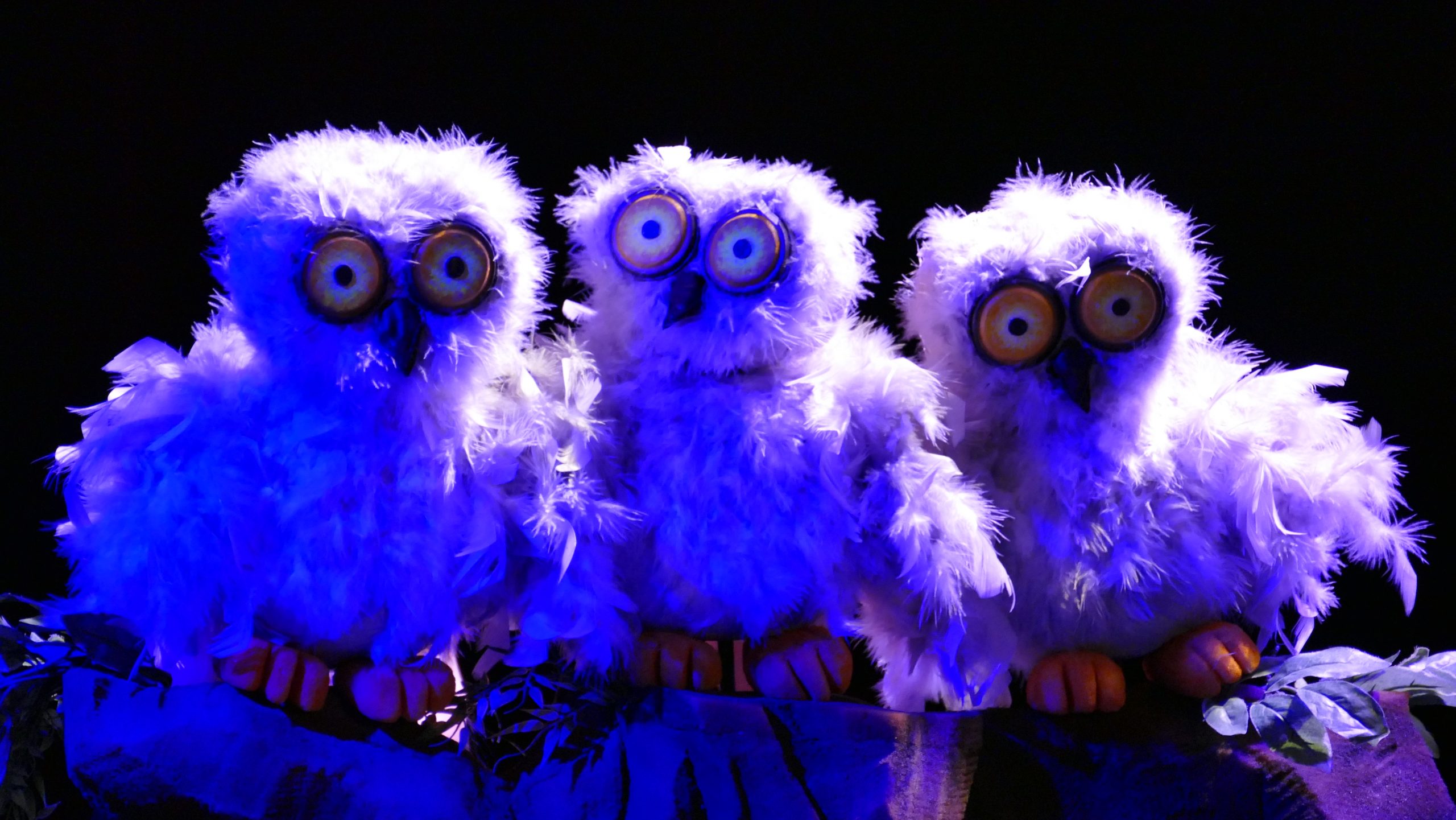 DESSOUS DE SCENE 3 Z'HISTOIRES POUR LES TOUT PETITS SPECTACLE POUR LES 6 MOIS 4 ANS