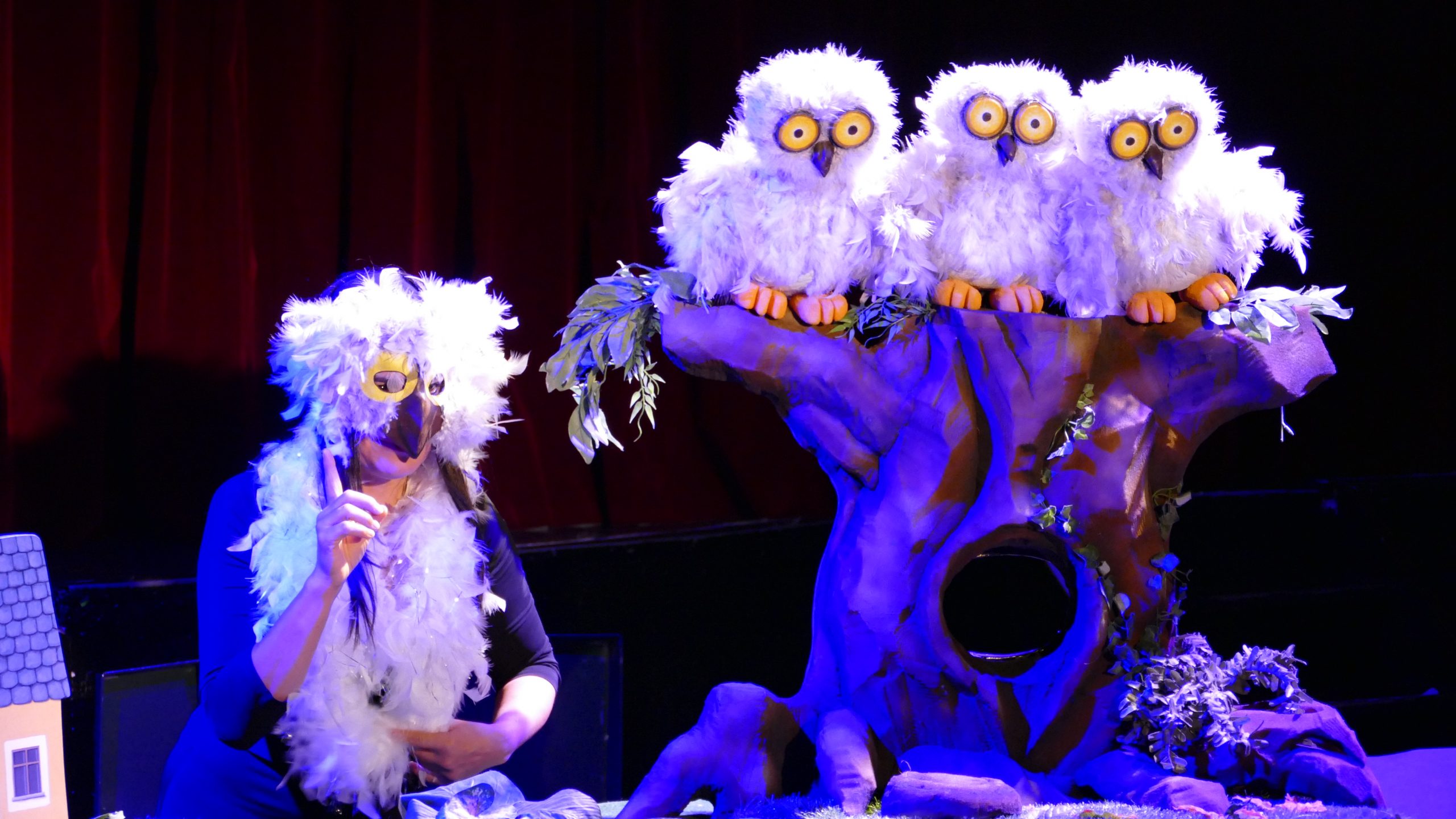 DESSOUS DE SCENE 3 Z'HISTOIRES POUR LES TOUT PETITS SPECTACLE POUR LES 6 MOIS 4 ANS