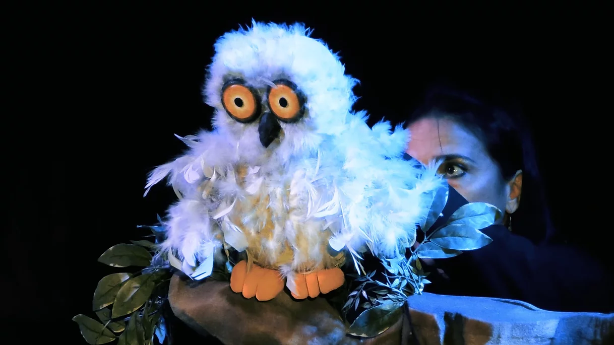 DESSOUS DE SCENE 3 Z'HISTOIRES POUR LES TOUT PETITS SPECTACLE POUR LES 6 MOIS 4 ANS