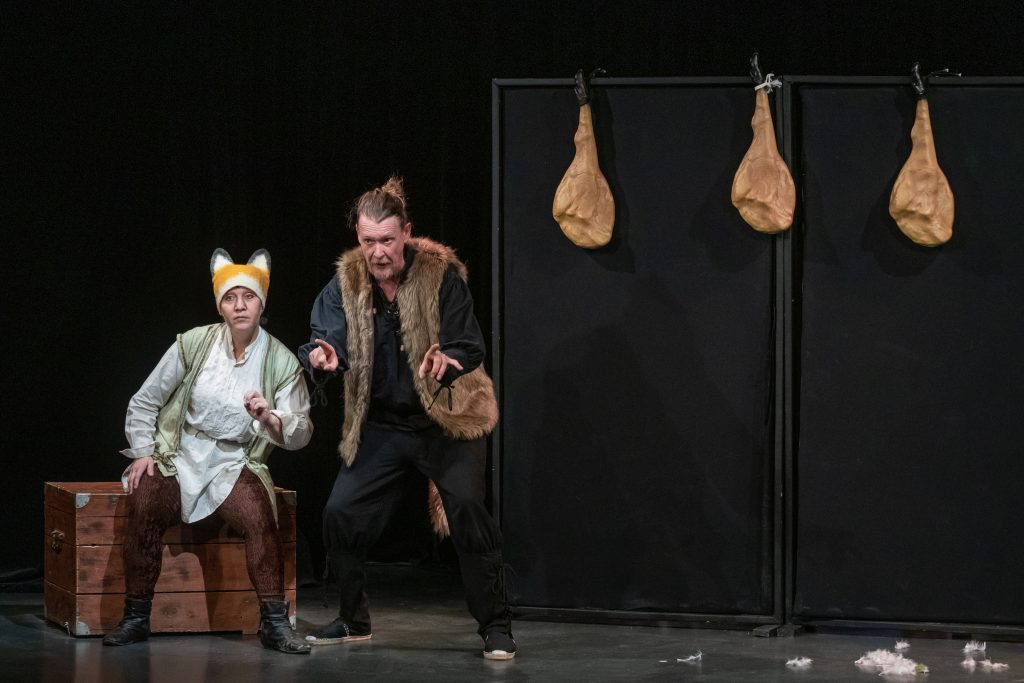 COMPAGNIE DESSOUS DE SCENE LE ROMAN DE RENART JEUNE PUBLIC ET SCOLAIRE